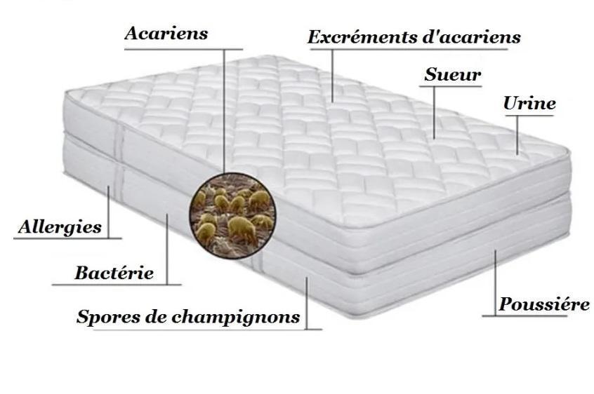 Nettoyage de matelas anti-acariens à domicile à Paris